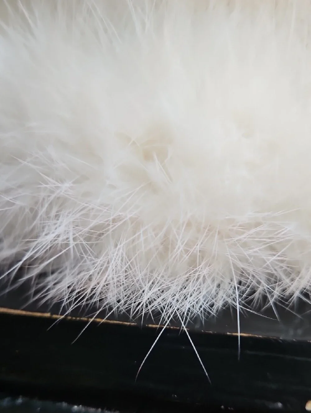 New Ivory White Cream Angora Wool Fur Bucket Hat with ZetaPhiBeta Embroidery